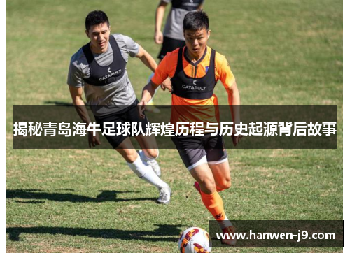 揭秘青岛海牛足球队辉煌历程与历史起源背后故事