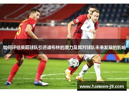 如何评估英超球队引进迪布林的潜力及其对球队未来发展的影响 如何评估英超球队引进迪布林的潜力及其对球队未来发展的影响